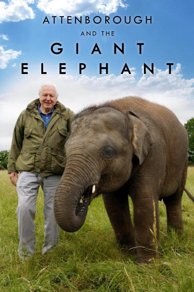 Caratula, cartel, poster o portada de David Attenborough y el elefante gigante