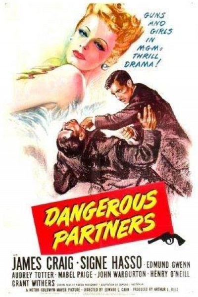 Caratula, cartel, poster o portada de Dangerous Partners