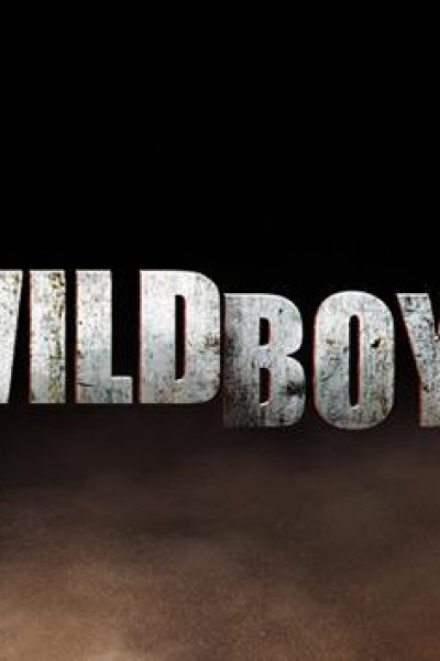 Caratula, cartel, poster o portada de Wild Boys