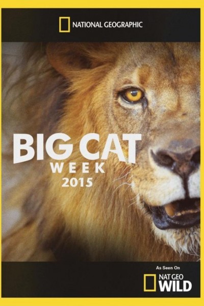 Cubierta de Big Cat Week