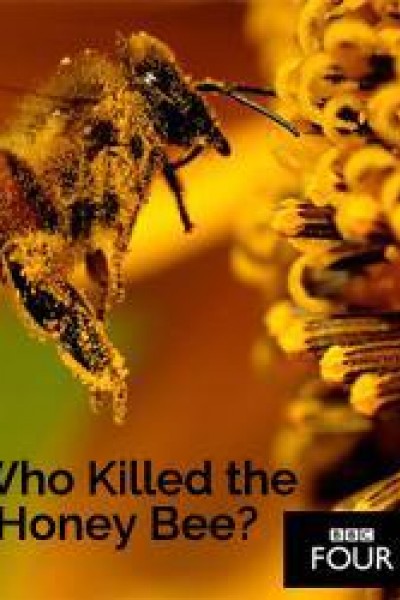 Cubierta de Who Killed the Honey Bee?