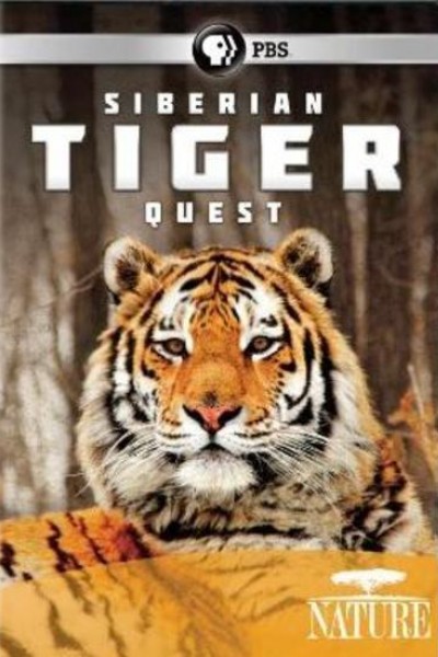 Cubierta de Siberian Tiger Quest