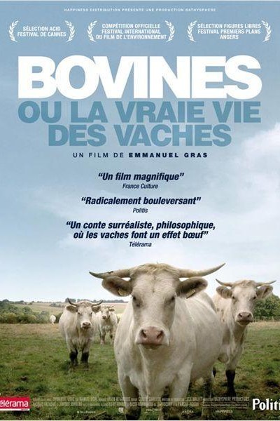 Caratula, cartel, poster o portada de Bovines ou la vraie vie des vaches