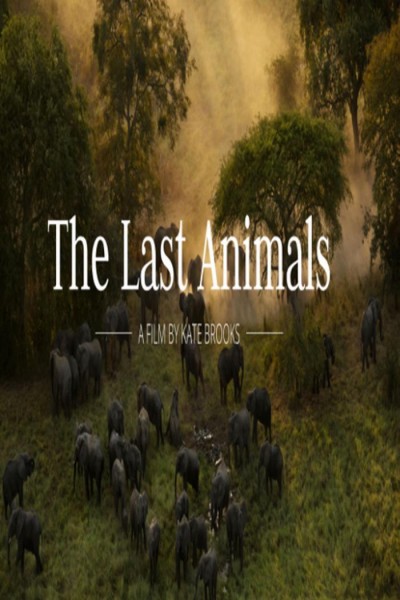 Cubierta de The Last Animals