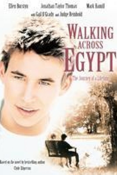 Cubierta de Caminando por Egipto