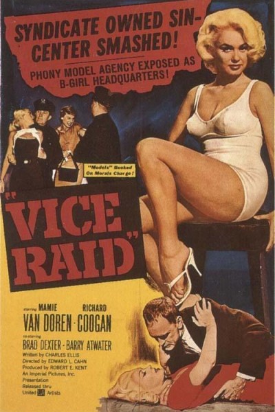 Caratula, cartel, poster o portada de Vice Raid