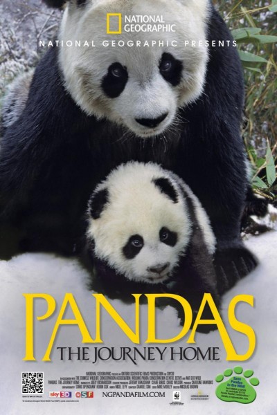 Caratula, cartel, poster o portada de Pandas: The Journey Home