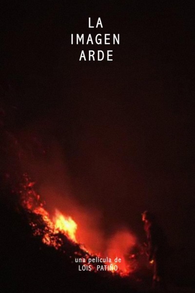 Cubierta de La imagen arde