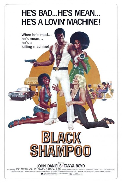 Caratula, cartel, poster o portada de Black Shampoo