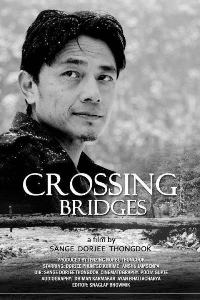 Cubierta de Crossing Bridges