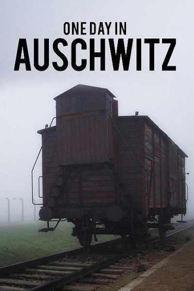 Caratula, cartel, poster o portada de One Day in Auschwitz