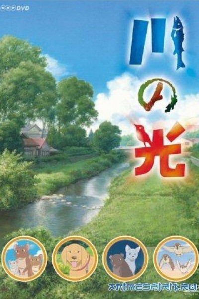 Caratula, cartel, poster o portada de Light of the River