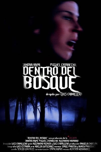 Cubierta de Dentro del bosque