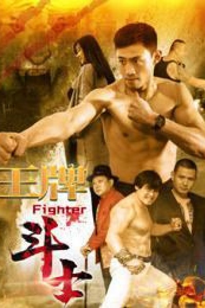 Caratula, cartel, poster o portada de Fighter (King of the Boxer)