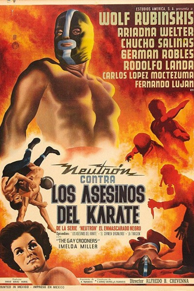 Caratula, cartel, poster o portada de Los asesinos del karate