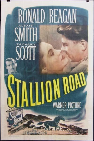 Caratula, cartel, poster o portada de Stallion Road