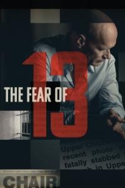 Caratula, cartel, poster o portada de El miedo al 13