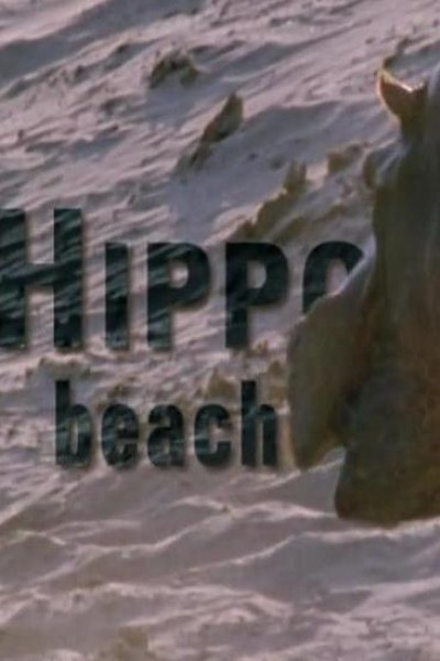 Cubierta de La playa de los hipopótamos
