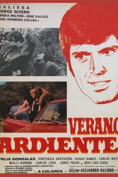 Caratula, cartel, poster o portada de Verano ardiente