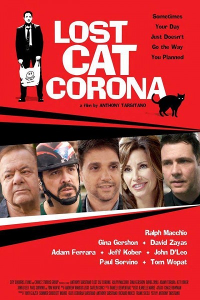 Caratula, cartel, poster o portada de Lost Cat Corona