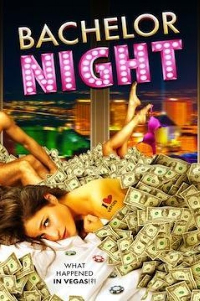 Caratula, cartel, poster o portada de Bachelor Night