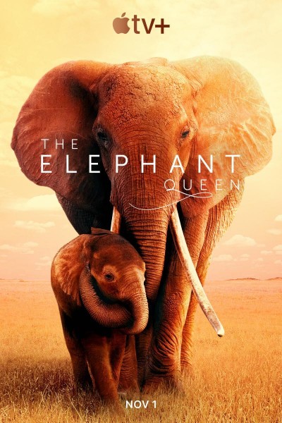 Caratula, cartel, poster o portada de Reina de elefantes