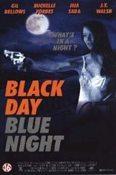 Caratula, cartel, poster o portada de Black Day Blue Night