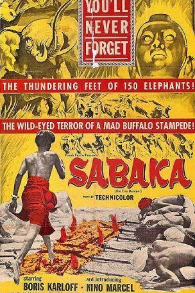 Caratula, cartel, poster o portada de El hindú
