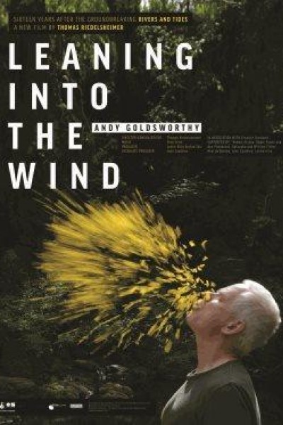 Caratula, cartel, poster o portada de Leaning Into the Wind: Andy Goldsworthy