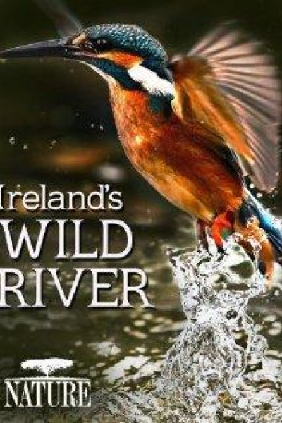 Caratula, cartel, poster o portada de En un río de Irlanda