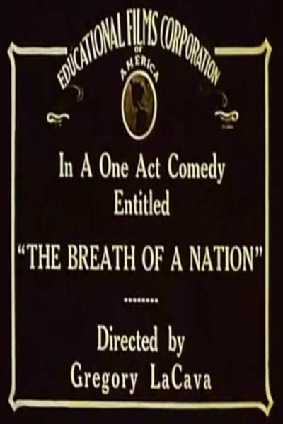 Caratula, cartel, poster o portada de The Breath of a Nation