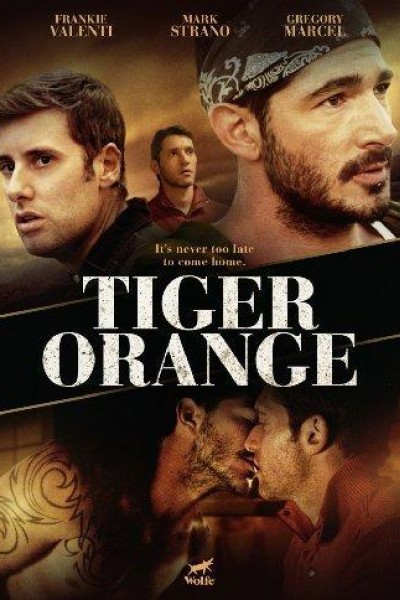 Caratula, cartel, poster o portada de Tiger Orange