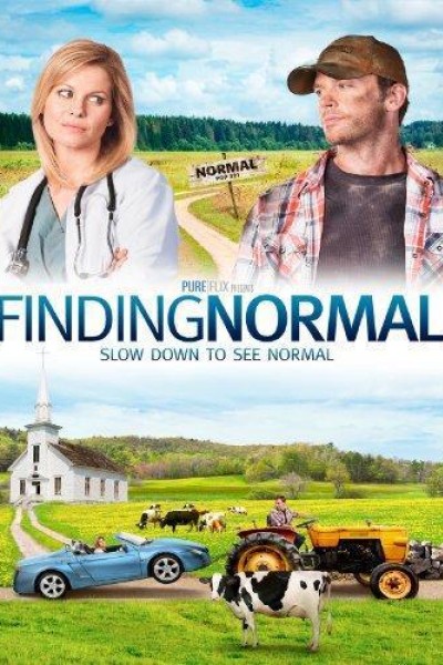 Caratula, cartel, poster o portada de Finding Normal