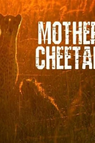 Cubierta de La madre guepardo