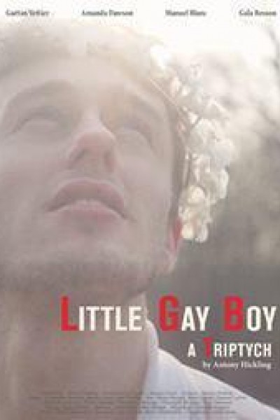 Caratula, cartel, poster o portada de Little Gay Boy