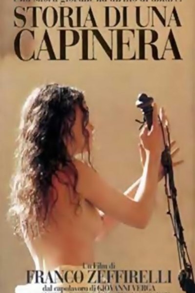 Caratula, cartel, poster o portada de La novicia
