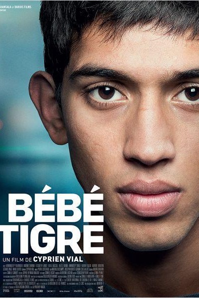 Caratula, cartel, poster o portada de Bébé tigre