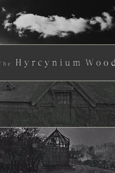 Cubierta de The Hyrcynium Wood