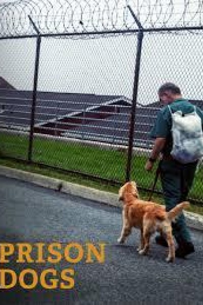 Cubierta de Prison Dogs