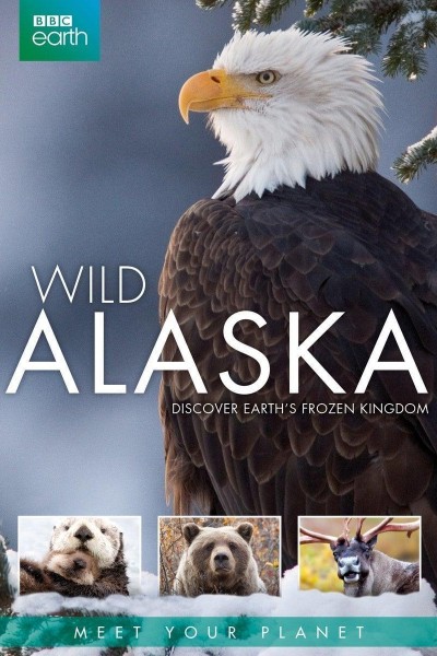 Caratula, cartel, poster o portada de Alaska salvaje