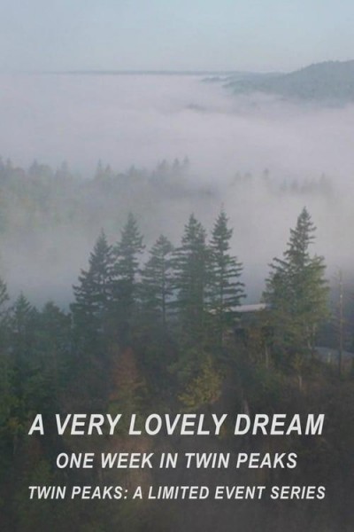 Caratula, cartel, poster o portada de Un sueño realmente maravilloso: Una semana en Twin Peaks