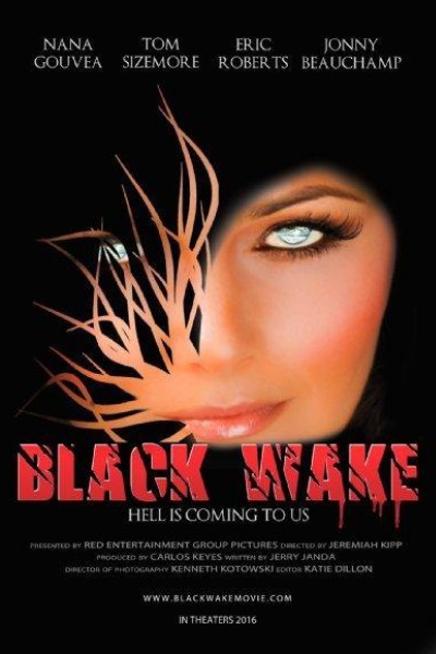 Caratula, cartel, poster o portada de Black Wake