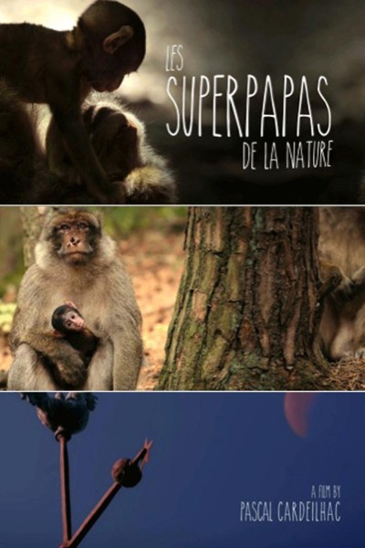 Caratula, cartel, poster o portada de Los súper papás de la naturaleza