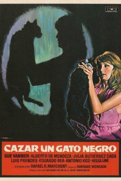 Caratula, cartel, poster o portada de Cazar un gato negro