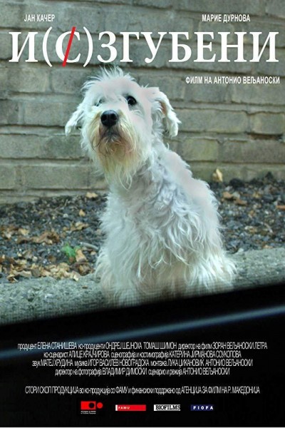 Caratula, cartel, poster o portada de Missing Dog