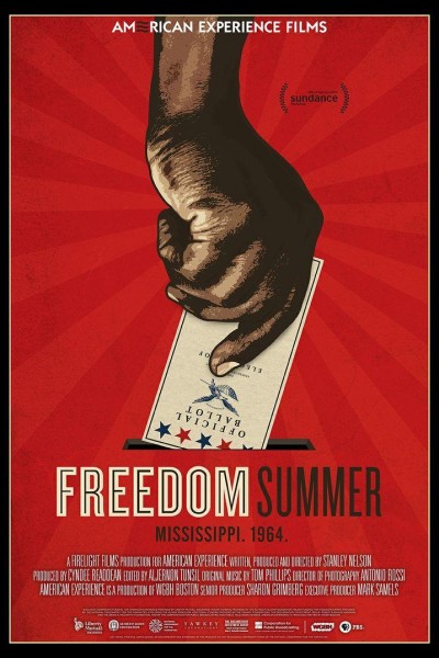 Caratula, cartel, poster o portada de Freedom Summer (American Experience)