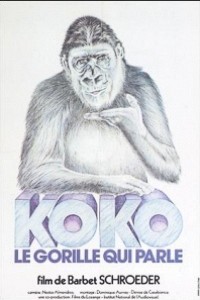 Caratula, cartel, poster o portada de Koko, le gorille qui parle