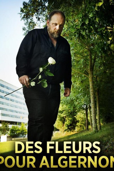 Caratula, cartel, poster o portada de Flores para Algernon