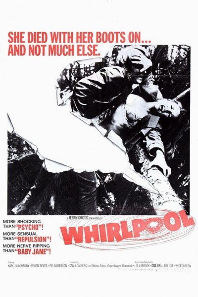 Caratula, cartel, poster o portada de Perversiones con una camara (Whirlpool)