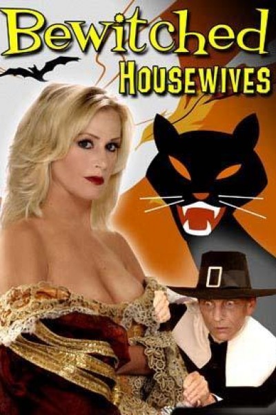 Caratula, cartel, poster o portada de Bewitched Housewives